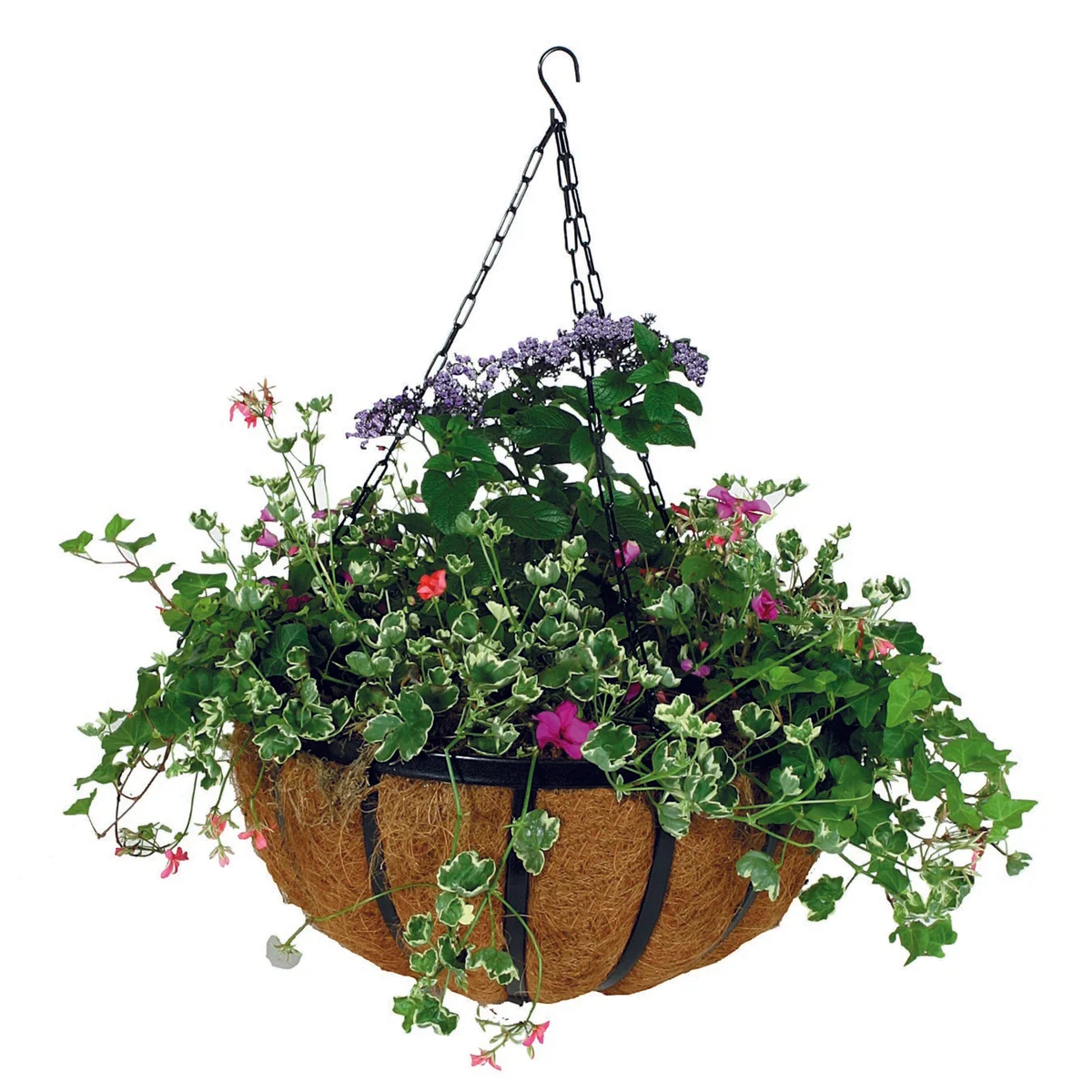 WSP Forge Hanging Basket With Coco Liner - Image 3