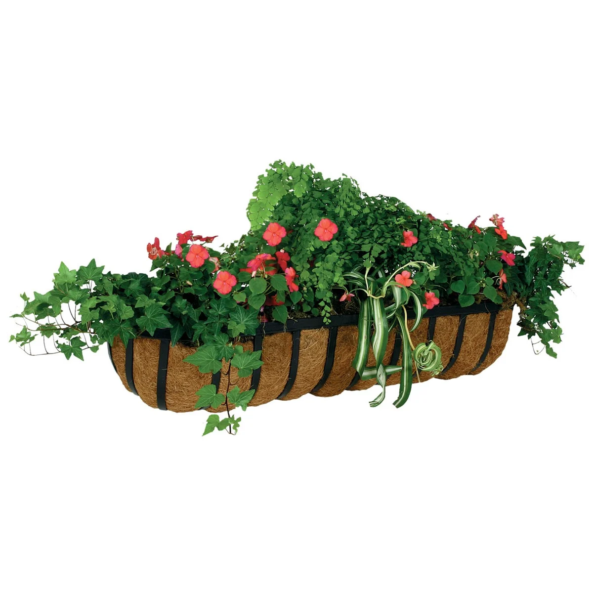 WSP Forge Trough Planter With Coco Liner - Image 3