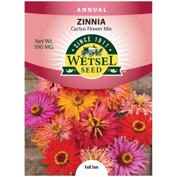 Zinnia, Blueberry Cheesecake Mix 590 MG