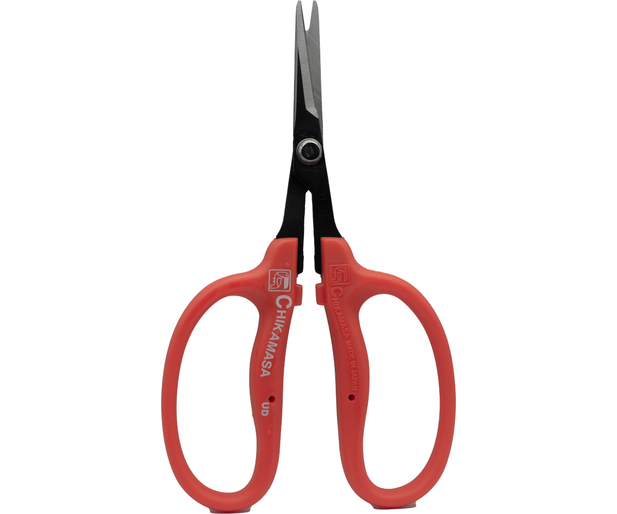 chiru！ Chikamasa B-500H Scissors, Straight Blade, Carbon Steel | Toledo
