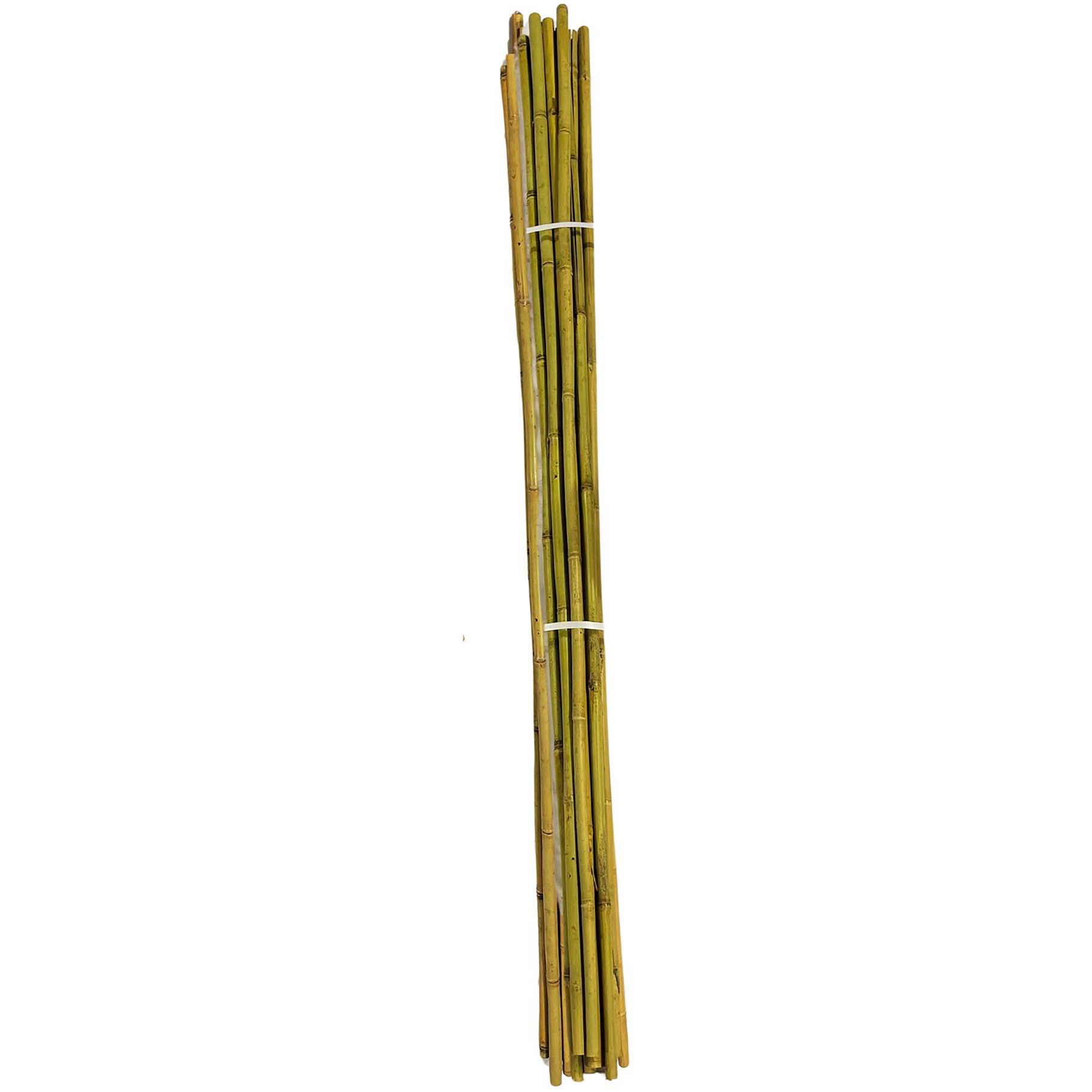A&G 3/4"x6' Bamboo Individually Labeled — Lot of 50