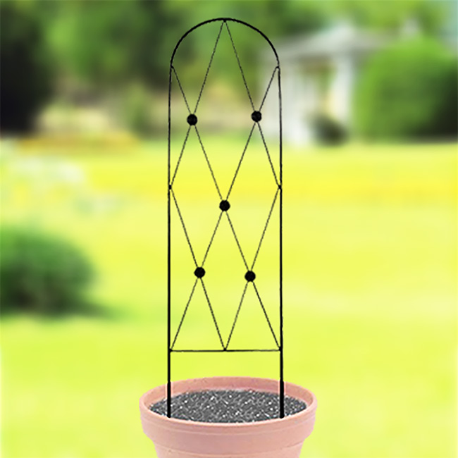 AGW Button Pot Trellis Black