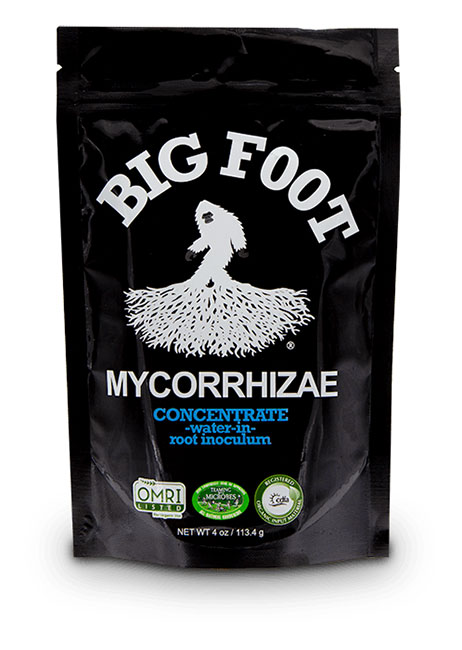 Big Foot 4oz Mycorrhizae Concentrate
