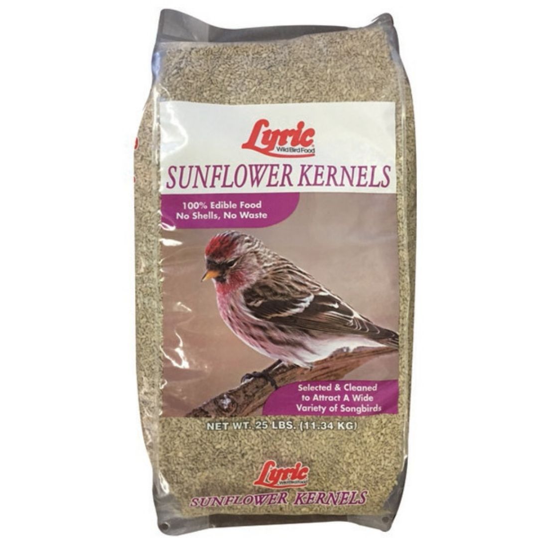 Lyric 25# Sunflower Kernels