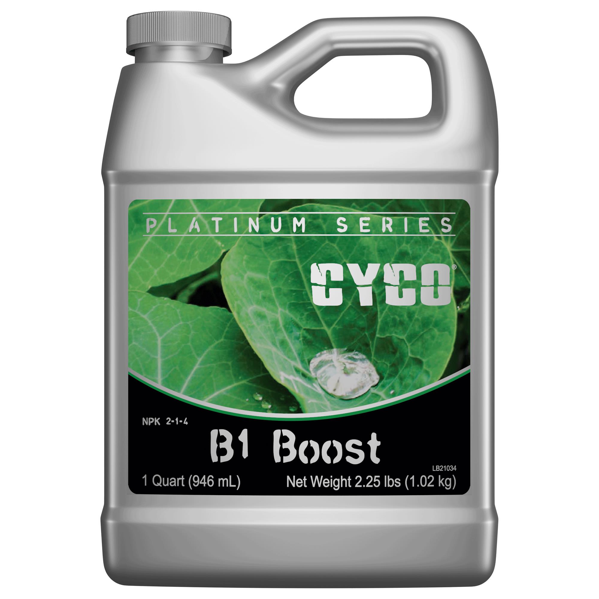 CYCO 32oz B1 Boost — Single Unit