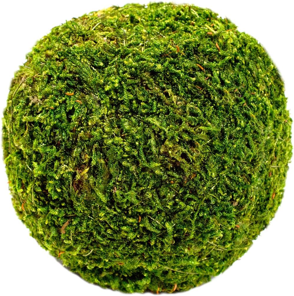 SuperMoss 4" Bulk Moss Ball