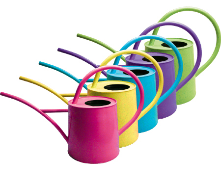 WSP Watering Can 1/2gal Assorted - 2ea of 5 Colors — Single Unit